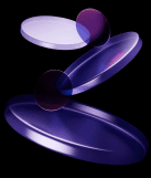 Purple Berry
